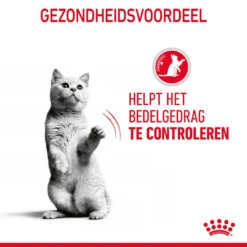 Royal Canin Kattenvoer Appetite Control Care In Gravy 12 X 85 Gr -Beeztees Winkel 9003579014899 NL 8