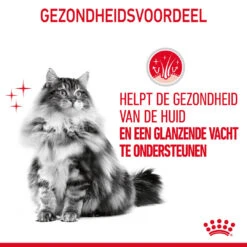 Royal Canin Kattenvoer Hair & Skin In Gravy 12 X 85 Gr -Beeztees Winkel 9003579308721 NL 8