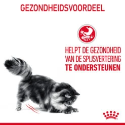 Royal Canin Kattenvoer Digest Care In Gravy 12 X 85 Gr -Beeztees Winkel 9003579309568 NL 8