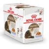 Royal Canin Kattenvoer Ageing 12+ In Jelly 12 X 85 Gr
