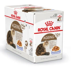 Royal Canin Kattenvoer Ageing 12+ In Jelly 12 X 85 Gr