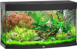 Juwel Aquarium Vision 180 LED Zwart