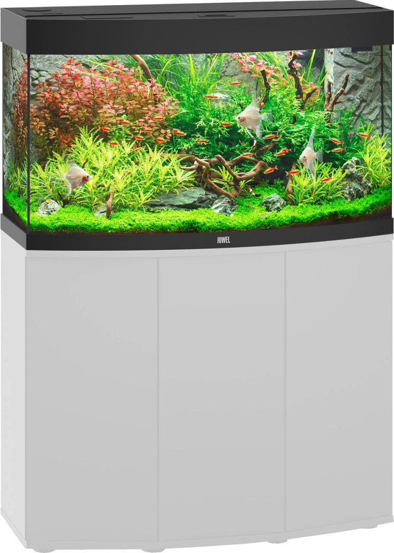 Juwel Aquarium Vision 180 LED Zwart 2 Juwel Aquarium Vision 180 LED Zwart - Afbeelding 2