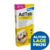 AdTab Kauwtabletten 2,5 - 5,5 Kg 3 Tabl