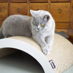 Beeztees Winkel -Beeztees Winkel Arch 4