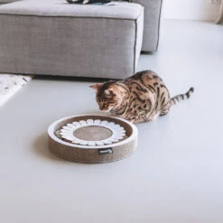 District 70 Kattenspeelgoed Bloom White -Beeztees Winkel BLOOM 1