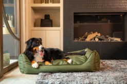 MaxxNobel Hondenmand Bliss Groen 14 MaxxNobel Hondenmand Bliss Groen -Beeztees Winkel Bliss Binnen 32 1