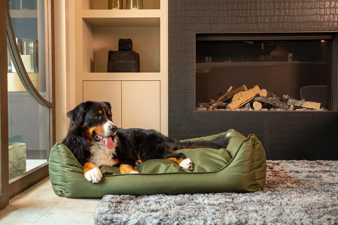 MaxxNobel Hondenmand Bliss Groen 7 MaxxNobel Hondenmand Bliss Groen - Afbeelding 7