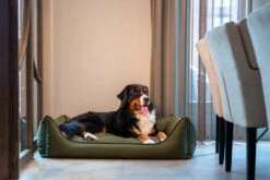 MaxxNobel Hondenmand Bliss Groen 13 MaxxNobel Hondenmand Bliss Groen -Beeztees Winkel Bliss Binnen 38