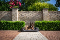 MaxxNobel Hondenmand Bliss Zwart -Beeztees Winkel Bliss Buiten 13 1