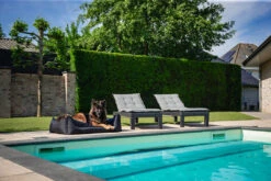 MaxxNobel Hondenmand Bliss Zwart -Beeztees Winkel Bliss Buiten 17