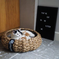 District 70 Mand Cocoon Brown -Beeztees Winkel Cocoon 2