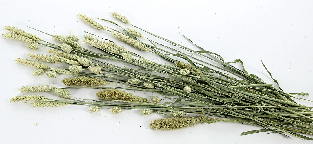 ESVE Pet Bouquet Knaagveld 1 ESVE Pet Bouquet Knaagveld