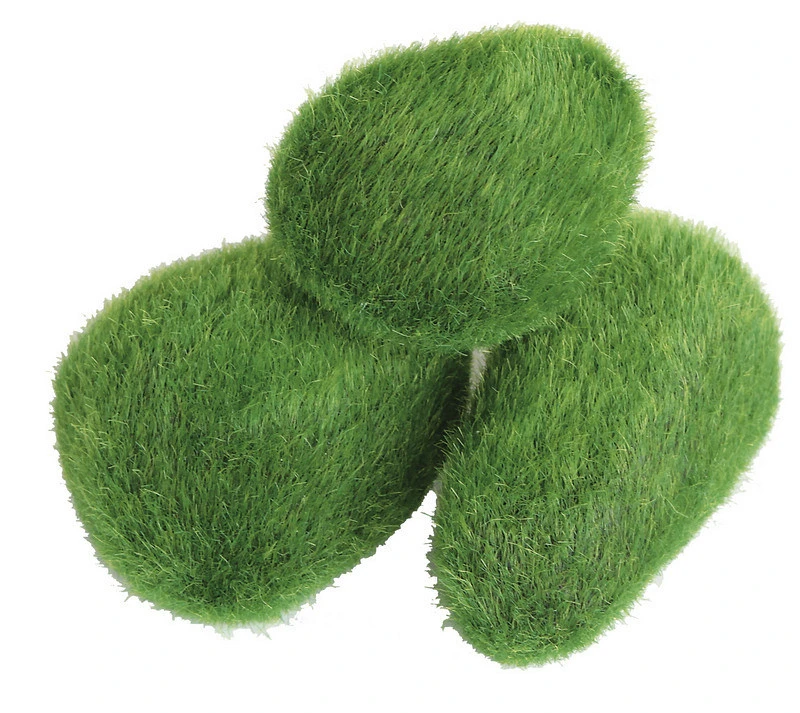 SuperFish Fish Home Met Mos 2 St 2 SuperFish Fish Home Met Mos 2 St - Afbeelding 2