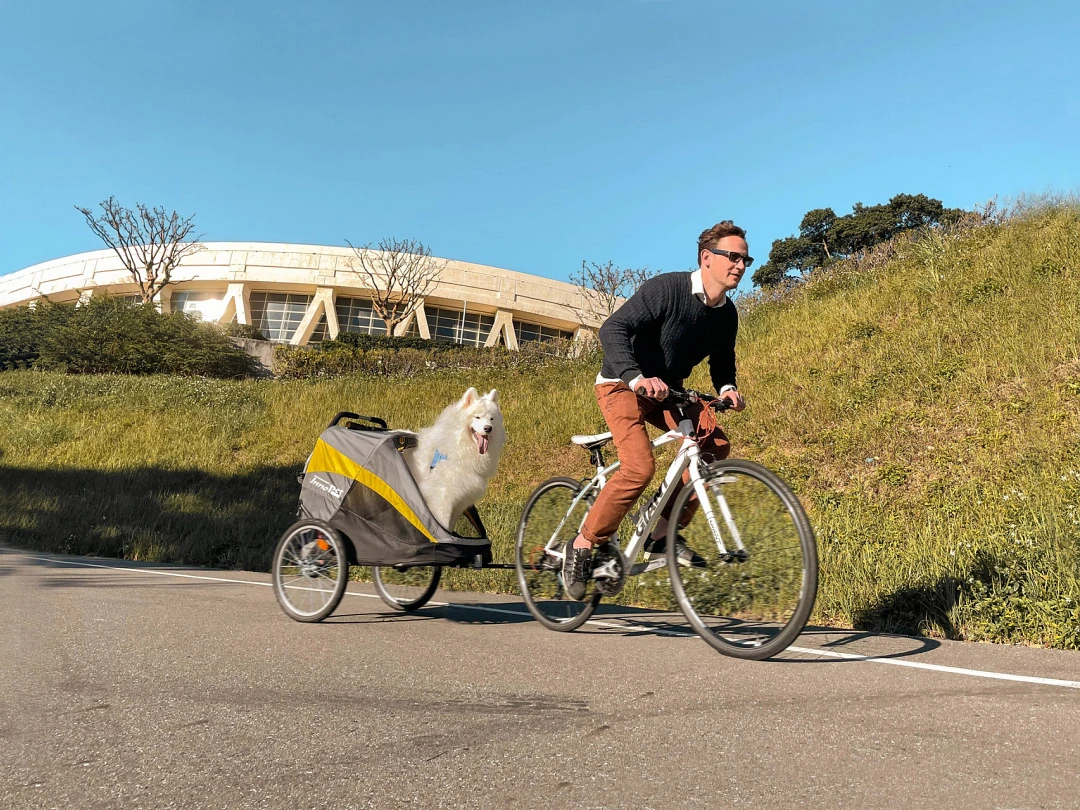 Innopet Hondenfietskar/-buggy Set Hercules Grey/Yellow 4 Innopet Hondenfietskar/-buggy Set Hercules Grey/Yellow - Afbeelding 4