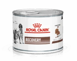 Royal Canin Recovery Kat En Hond 195 Gr