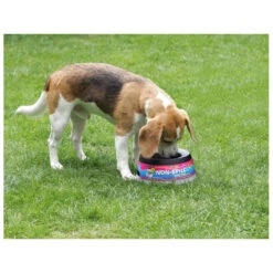 Road Refresher Grijs -Beeztees Winkel LGRR 3