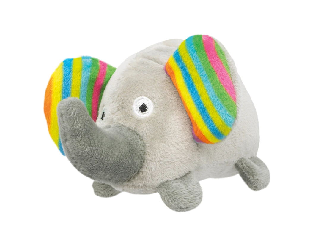 Petlando Lari Safari Eliza Met Catnip 1 Petlando Lari Safari Eliza Met Catnip