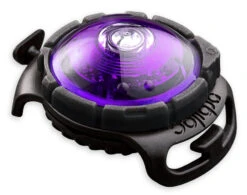 Orbiloc Safety Light Dog Dual Paars