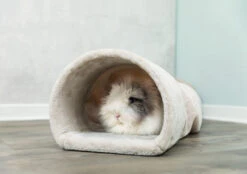 TRIXIE Relax-Tunnel Konijn En Cavia Beige -Beeztees Winkel PHO PRO SANIMAL 63102 2 SALL APRKU V1