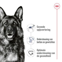 Royal Canin Hondenvoer Maxi Adult 10 X 140 Gr -Beeztees Winkel RC SHN MaxiAdult Pouch CV 1 nl NL.pdf