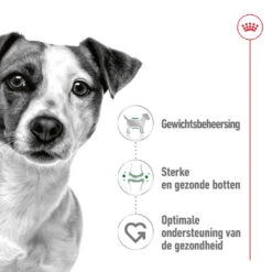 Royal Canin Hondenvoer Mini Adult 12 X 85 Gr -Beeztees Winkel RC SHN MiniAdult Pouch CV 1 nl NL.pdf