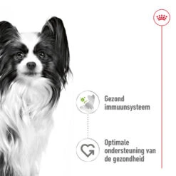 Royal Canin Hondenvoer X-Small Adult 12 X 85 Gr -Beeztees Winkel RC SHN X smallAdult Pouch MorselsInGravy CV 1 nl NL.pdf