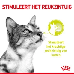 Royal Canin Kattenvoer Sensory Smell In Gravy 12 X 85 Gr -Beeztees Winkel RC SPT WET SensSmellCIG CV 1 nl NL