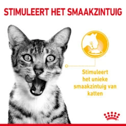 Royal Canin Kattenvoer Sensory Taste In Gravy 12 X 85 Gr -Beeztees Winkel RC SPT WET SensTasteCIG CV 1 nl NL