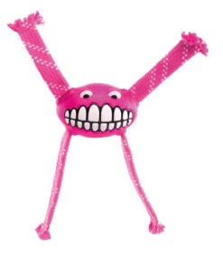 Rogz Grinz Flossy Pink -Beeztees Winkel RFGR05K