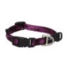 Rogz Halsband Alpinist Paars