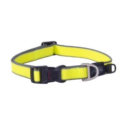 Rogz Halsband HydroTech Geel -Beeztees Winkel RHB75XLH