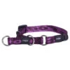 Rogz Sliphalsband Alpinist Paars