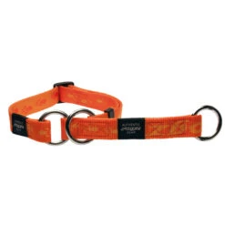 Rogz Sliphalsband Alpinist Oranje 6 Rogz Sliphalsband Alpinist Oranje -Beeztees Winkel RHBC27D