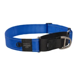 Rogz Halsband Utility Control Blauw 9 Rogz Halsband Utility Control Blauw -Beeztees Winkel RHCW19B
