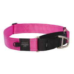 Rogz Halsband Utility Control Roze -Beeztees Winkel RHCW19K