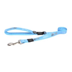 Rogz Hondenlijn Fancy Dress Turqoise Paw -Beeztees Winkel RHL02CG