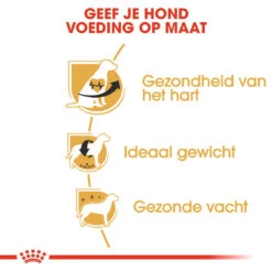 Royal Canin Hondenvoer Cavalier King Charles Adult 3 Kg -Beeztees Winkel RJ1T49 I