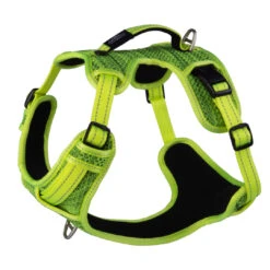 Rogz Hondentuig Utility Explore Geel 6 Rogz Hondentuig Utility Explore Geel -Beeztees Winkel RSJX06H