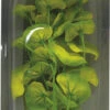 SuperFish Easy Plants Middel 20 Cm Nr. 10 Zijde