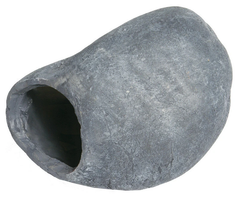 SuperFish Fish Cave 1 1 SuperFish Fish Cave 1