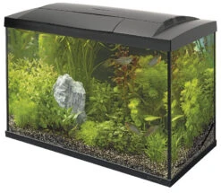 SuperFish Aquarium Start 100 Tropical Kit Zwart