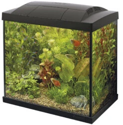 SuperFish Aquarium Start 50 Tropical Kit Zwart