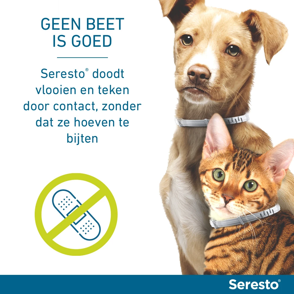 Seresto Band Voor Grote Honden 4 Seresto Band Voor Grote Honden - Afbeelding 4