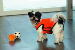 Beeztees Hup Holland Shirt Oranje -Beeztees Winkel Sfeerfoto 1 EK concept 2