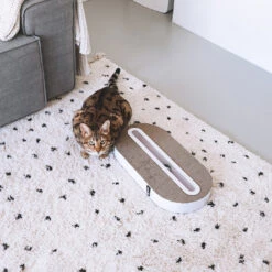 District 70 Kattenspeelgoed Track White -Beeztees Winkel TRACK 3