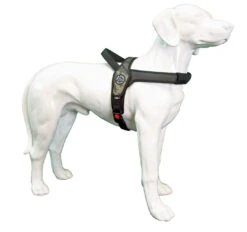 Tre Ponti Hondentuig Primo Camou Groen