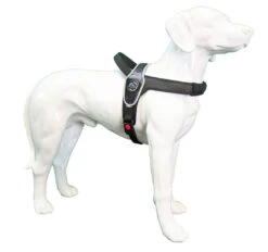 Tre Ponti Hondentuig Primo Reflective Zwart