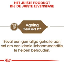 Royal Canin Kattenvoer Ageing Sterilised 12+4 Kg -Beeztees Winkel royal canin ageing sterilised 12plus senior kat oudere kat vanaf 12 jaar hero image 9