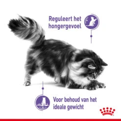 Royal Canin Kattenvoer Appetite Control Care 400 Gr -Beeztees Winkel royal canin appetite control care gesteriliseerd volwassen kat bedelgedrag hero usp